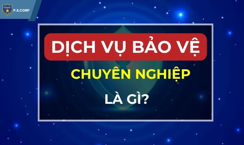 Dịch vụ bảo vệ chuyên nghiệp là gì?